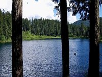 C13FE2BC-CA1B-4F53-80AA-53A9E9893079.jpeg