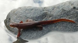 20150214_132919.jpg