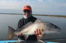 Redfish.jpg