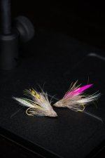 DSC02550.jpg