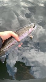 Ben's rainbow 1.jpg Ben's rainbow 1.jpg