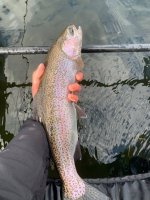 Ben's rainbow 2.jpg Ben's rainbow 2.jpg