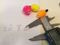 20220307_120559.jpg