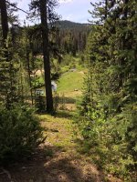 Small stream 2.jpg