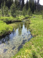 Small stream 3.jpg