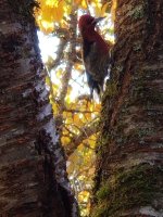 20201108_105428.jpg