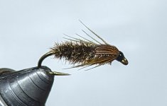 PXL_20220308_003338616.jpg