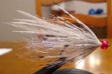 IMG_20220307_191108234.jpg