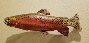 20220308_181601.jpg 20220308_181601.jpg