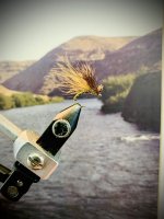 905E397E-2B05-4BEE-A468-A9EF38979648.jpeg
