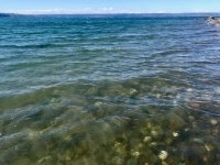 IMG_6234.jpeg