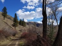 20220309_135852.jpg 20220309_135852.jpg