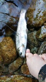 20181020_163625.jpg