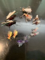 CT_flies.jpg