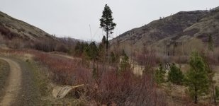 20220311_101134.jpg 20220311_101134.jpg