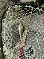 IMG_2776.jpeg IMG_2776.jpeg