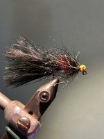IMG_3209.jpeg