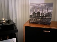 IMG_6242.jpeg
