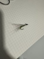 IMG_6533.jpeg