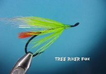 Tree River Fox.jpg