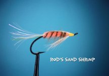 Rod's Sand Shrimp.jpg