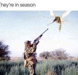 IMG_7014.jpeg