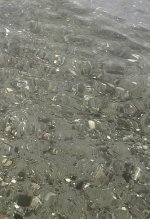 IMG_8904.jpeg