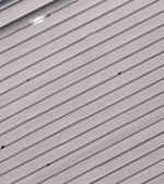 IMG_20240412_124401203 (1).jpg IMG_20240412_124401203 (1).jpg
