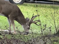 IMG_0035.jpeg