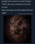 GLAcypWWgAA1EEy.jpeg