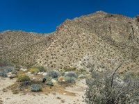 A00CanyonHillsideP3290610.jpg A00CanyonHillsideP3290610.jpg