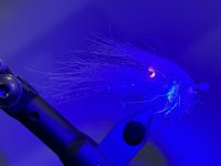 IMG_3647.jpeg