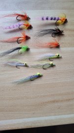 IMG_20240413_105237593.jpg