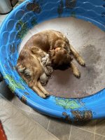 IMG_0043.jpeg