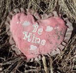 IMG_7097.jpeg