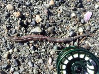 IMG_7092.jpeg