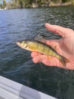 IMG_6558.jpeg IMG_6558.jpeg