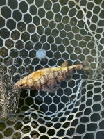 IMG_2791.jpeg
