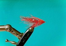 IMG_4765.jpeg