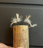 IMG_0352.jpeg
