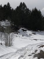 IMG_3744.jpeg