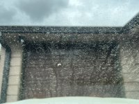 IMG_7113.jpeg