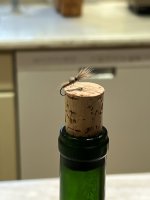 IMG_8823.jpeg IMG_8823.jpeg
