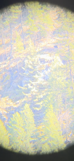 IMG_6881.png IMG_6881.png