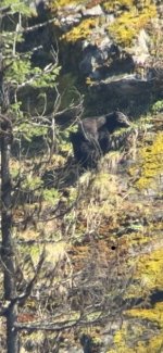 IMG_6879.jpeg IMG_6879.jpeg