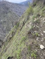 IMG_6866.jpeg IMG_6866.jpeg