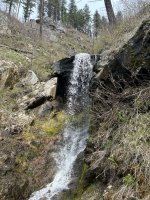 IMG_6794.jpeg IMG_6794.jpeg