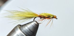 PXL_20240417_190628117.MP.jpg