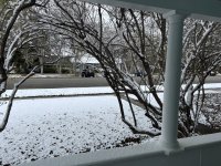 IMG_2355.jpeg