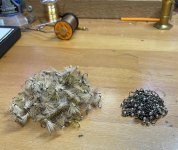 IMG_5563.jpeg